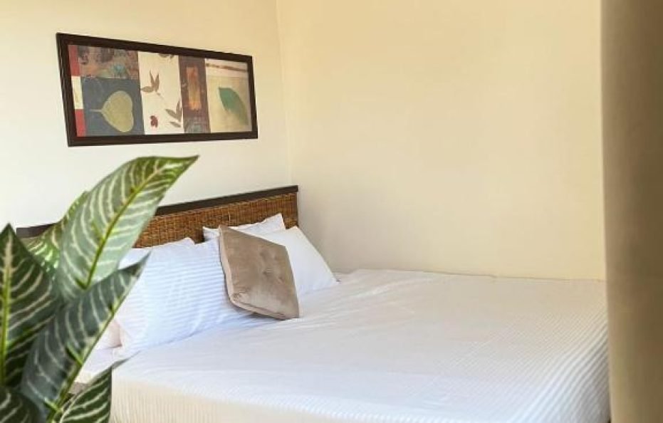 Double Room with Terrace